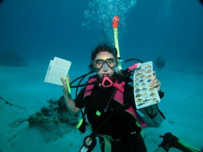 Tioman, Aur, Student, Diving, Fish ID